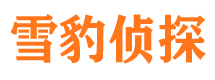 鄱阳市调查公司